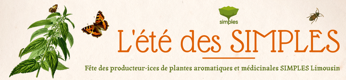 Ete des Simples