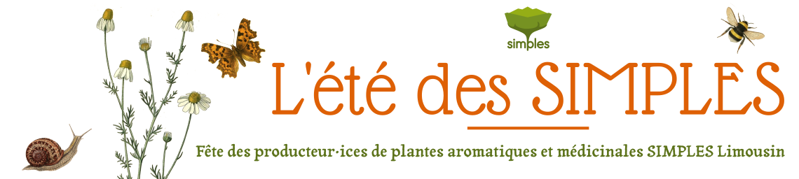 Ete des Simples